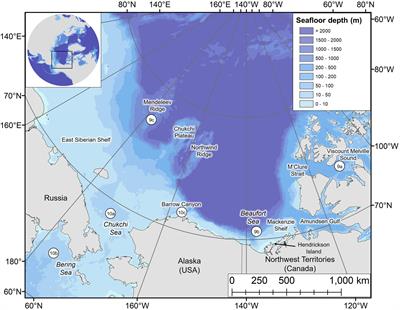 Year-Round Dive Characteristics of Male Beluga Whales From the Eastern Beaufort Sea Population Indicate Seasonal Shifts in Foraging Strategies